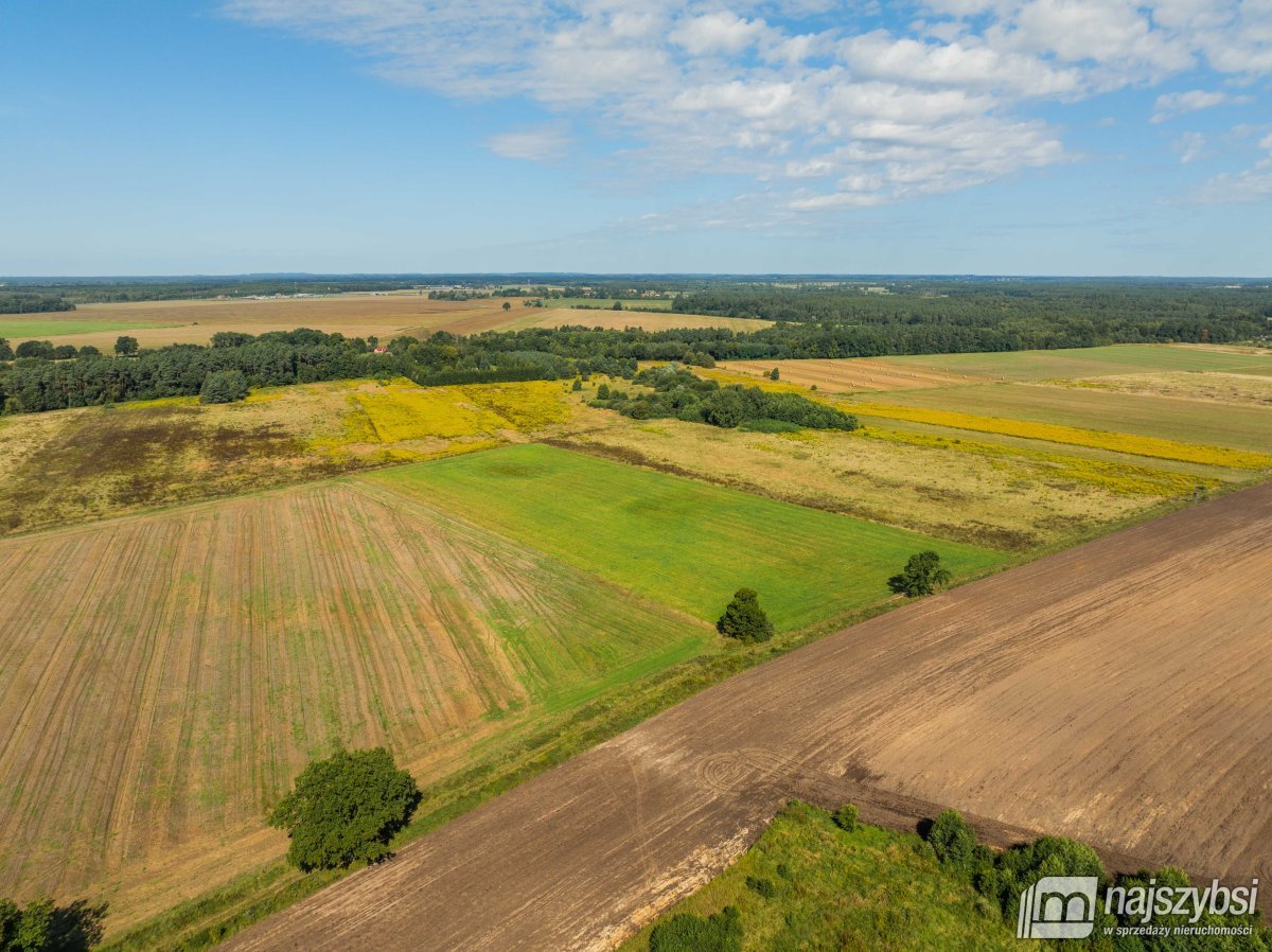 Resko - obrzeża działka 2,68ha (8)