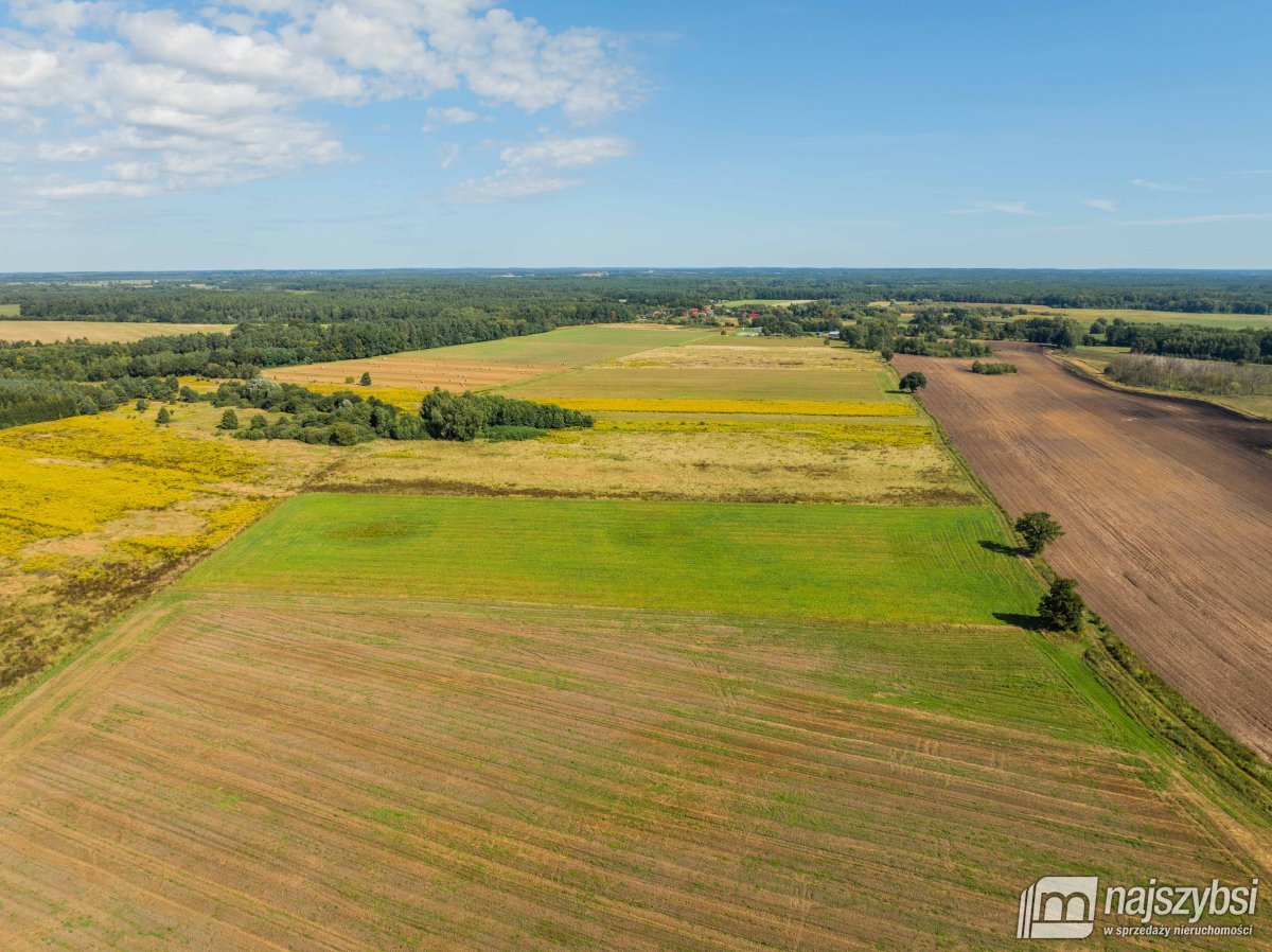 Resko - obrzeża działka 2,68ha (9)