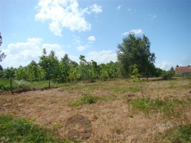 Stara Dąbrowa działka 1024 m2 55 zł/m2 (13)