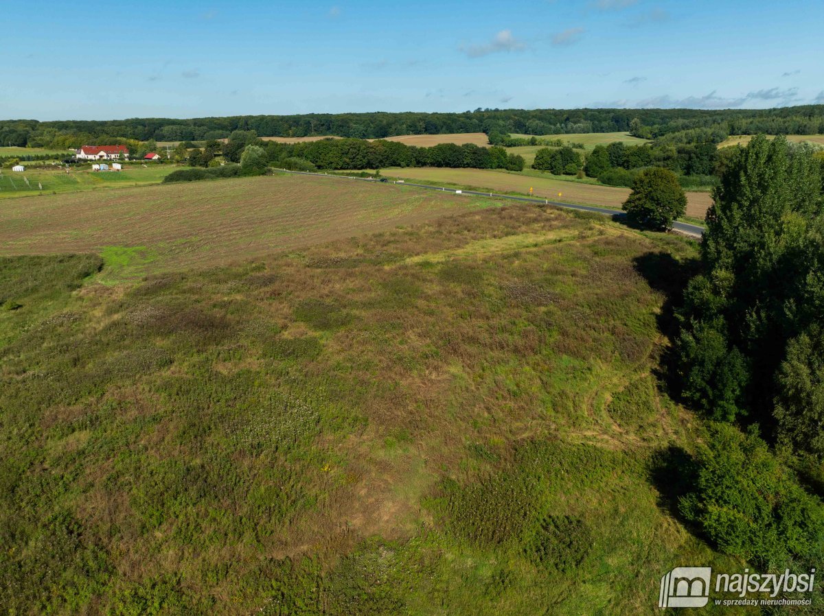 Stare Czarnowo- działka rolna z warunkami zabudowy (13)