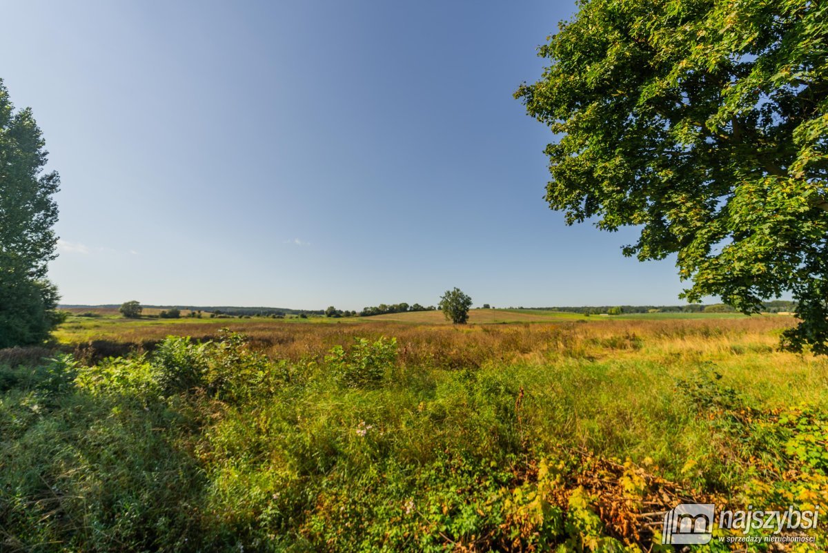 Stare Czarnowo- działka rolna z warunkami zabudowy (4)