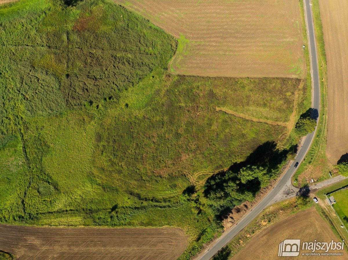 Stare Czarnowo- działka rolna z warunkami zabudowy (7)
