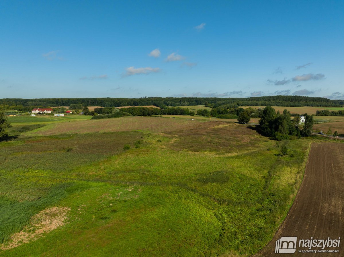 Stare Czarnowo- działka rolna z warunkami zabudowy (8)