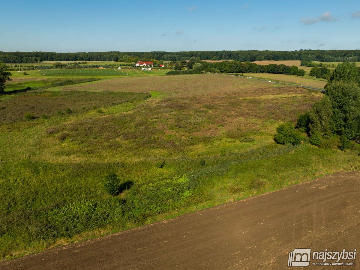Stare Czarnowo- działka rolna z warunkami zabudowy (9)