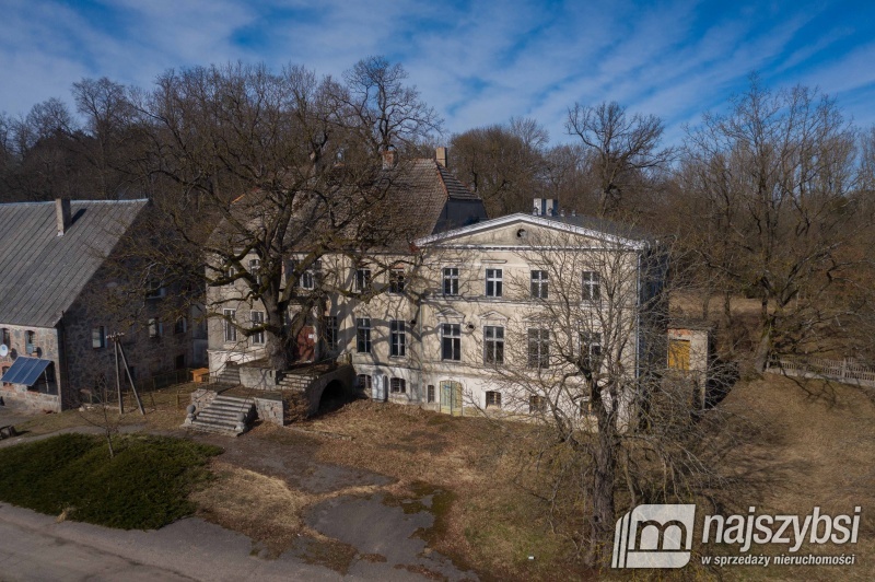 Ińsko-Storkowo pałac na sprzedaż (18)
