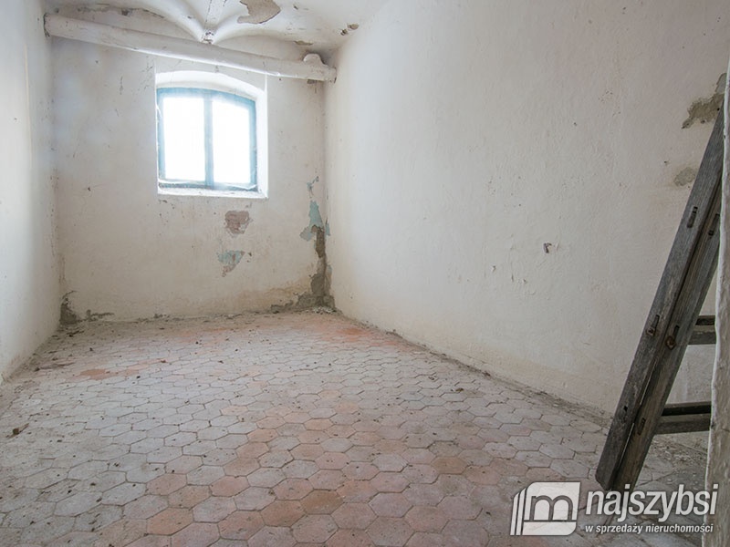 Ińsko-Storkowo pałac na sprzedaż (2)