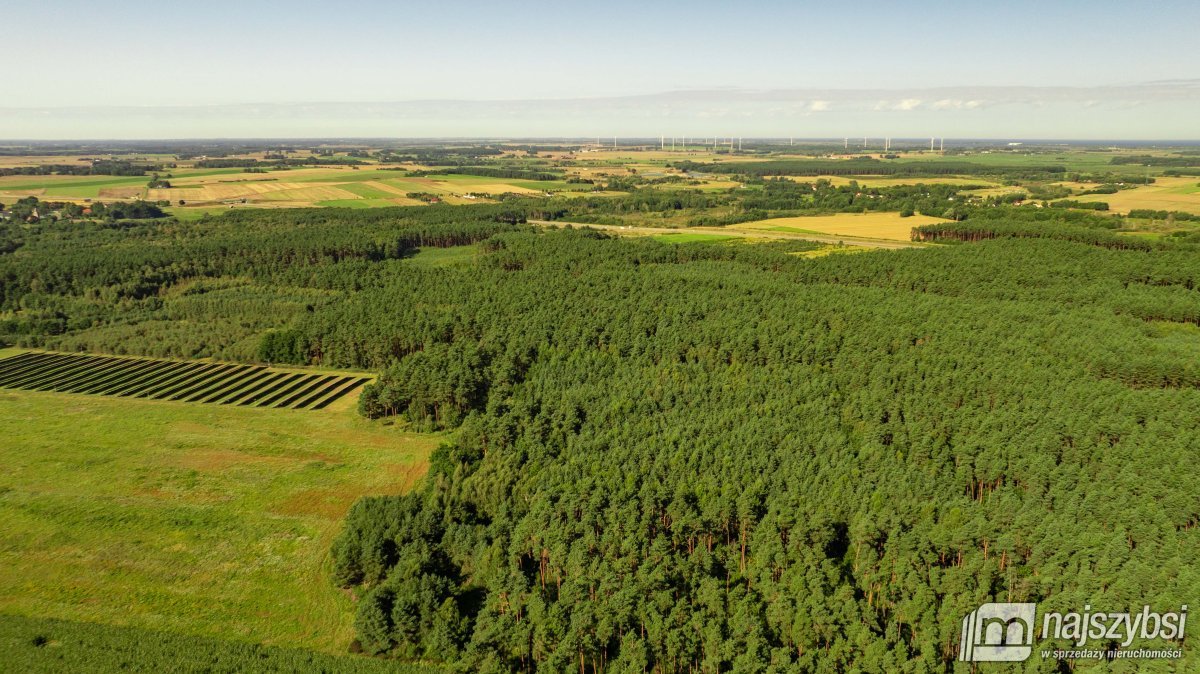 CHARZYNO- DZIAŁKA NA SPRZEDAŻ (7)