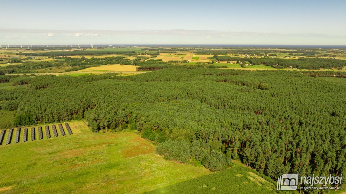 CHARZYNO- DZIAŁKA NA SPRZEDAŻ (8)