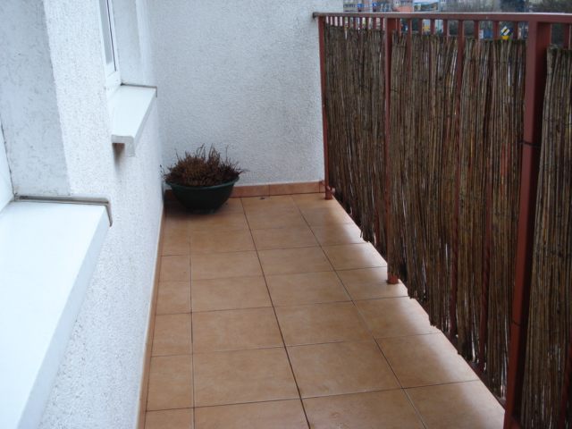 4 pokoje na wynajem (14)