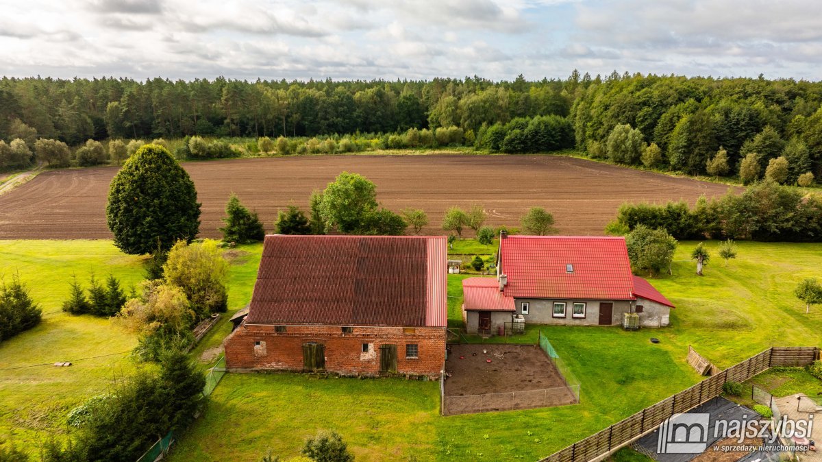 Wysoka Kamieńska-dom, posiadłość wśród lasów i łąk (3)