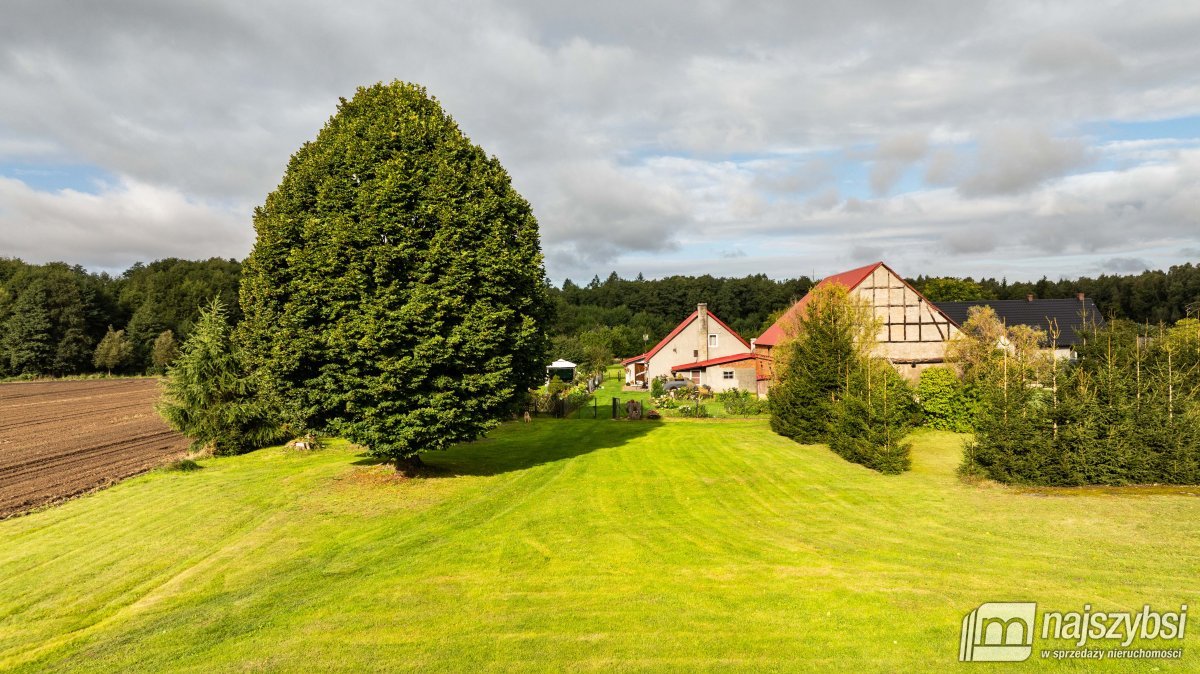 Wysoka Kamieńska-dom, posiadłość wśród lasów i łąk (4)