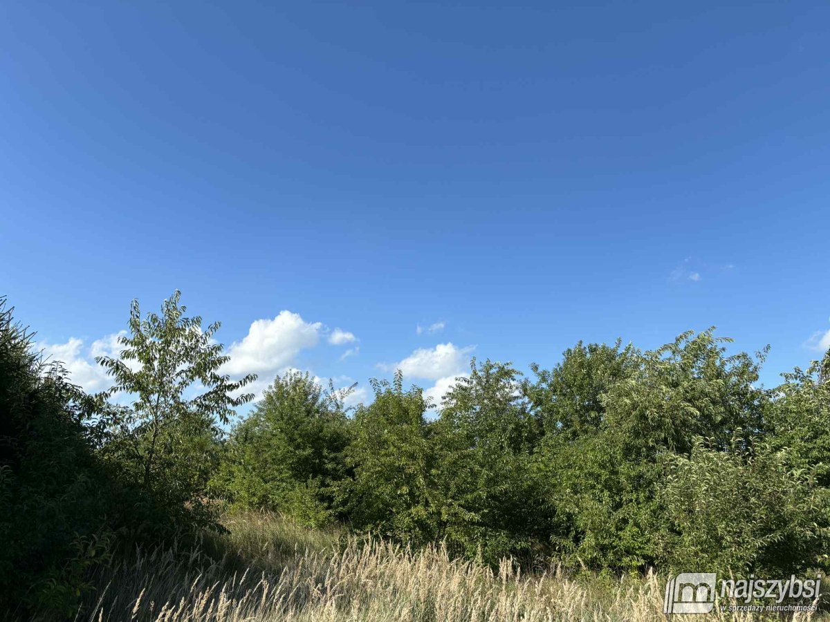 Żółwia Błoć- 2510 m2 blisko od Goleniowa (3)