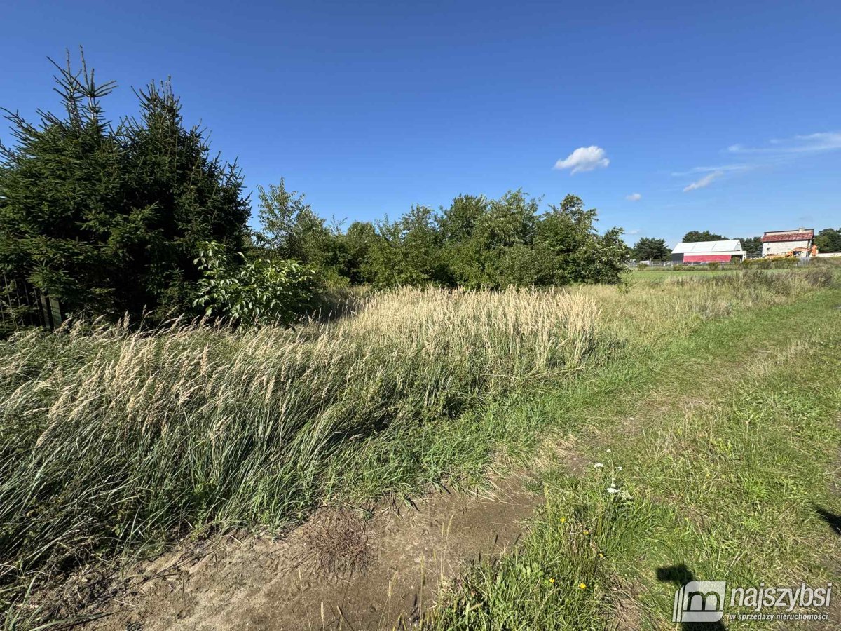 Żółwia Błoć- 2510 m2 blisko od Goleniowa (4)