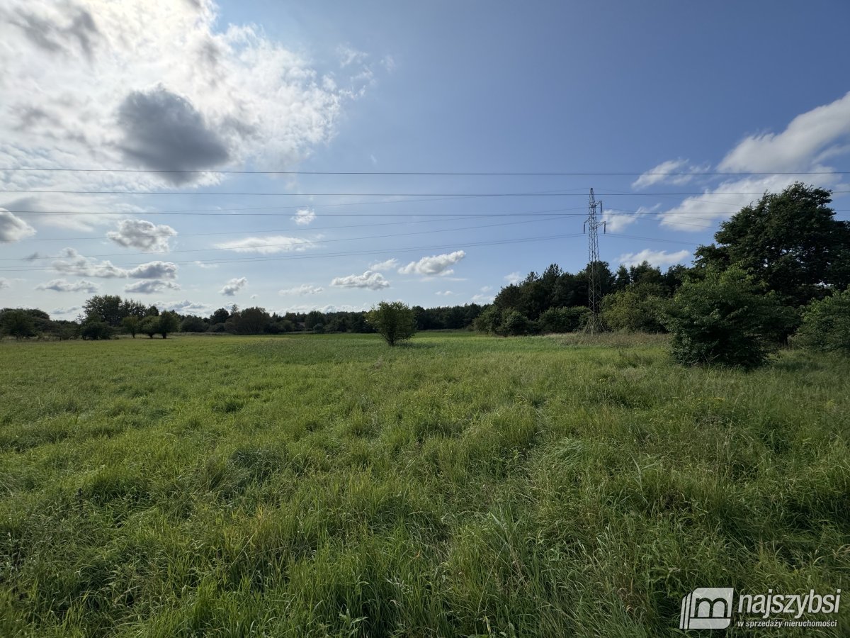 BIAŁOGARD-OGROMNA DZIAŁKA NA PRZEDMIEŚCIACH (10)