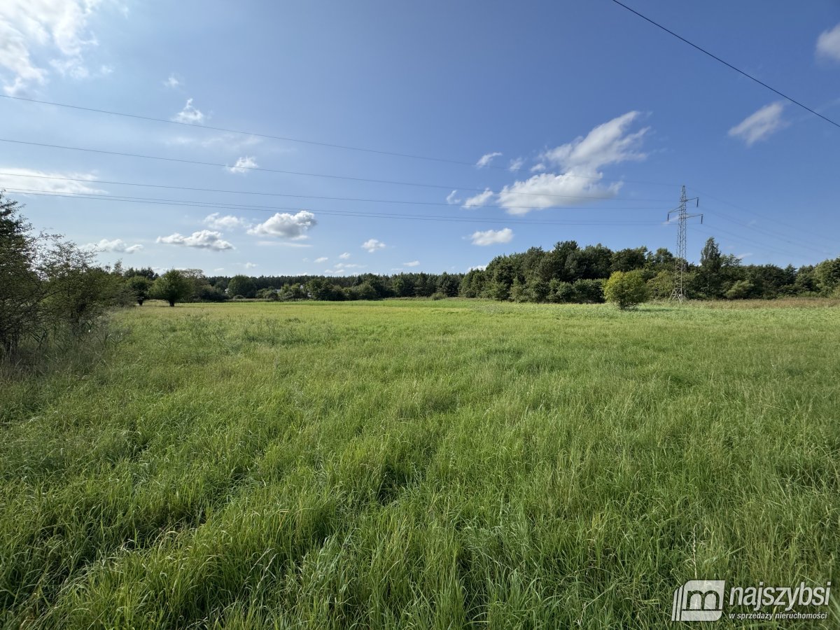 BIAŁOGARD-OGROMNA DZIAŁKA NA PRZEDMIEŚCIACH (2)
