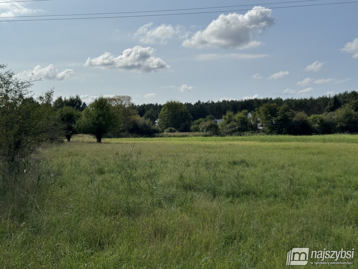 BIAŁOGARD-OGROMNA DZIAŁKA NA PRZEDMIEŚCIACH (3)