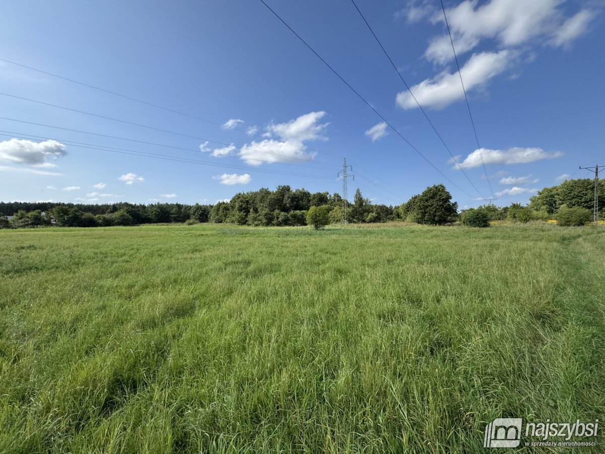 BIAŁOGARD-OGROMNA DZIAŁKA NA PRZEDMIEŚCIACH (4)