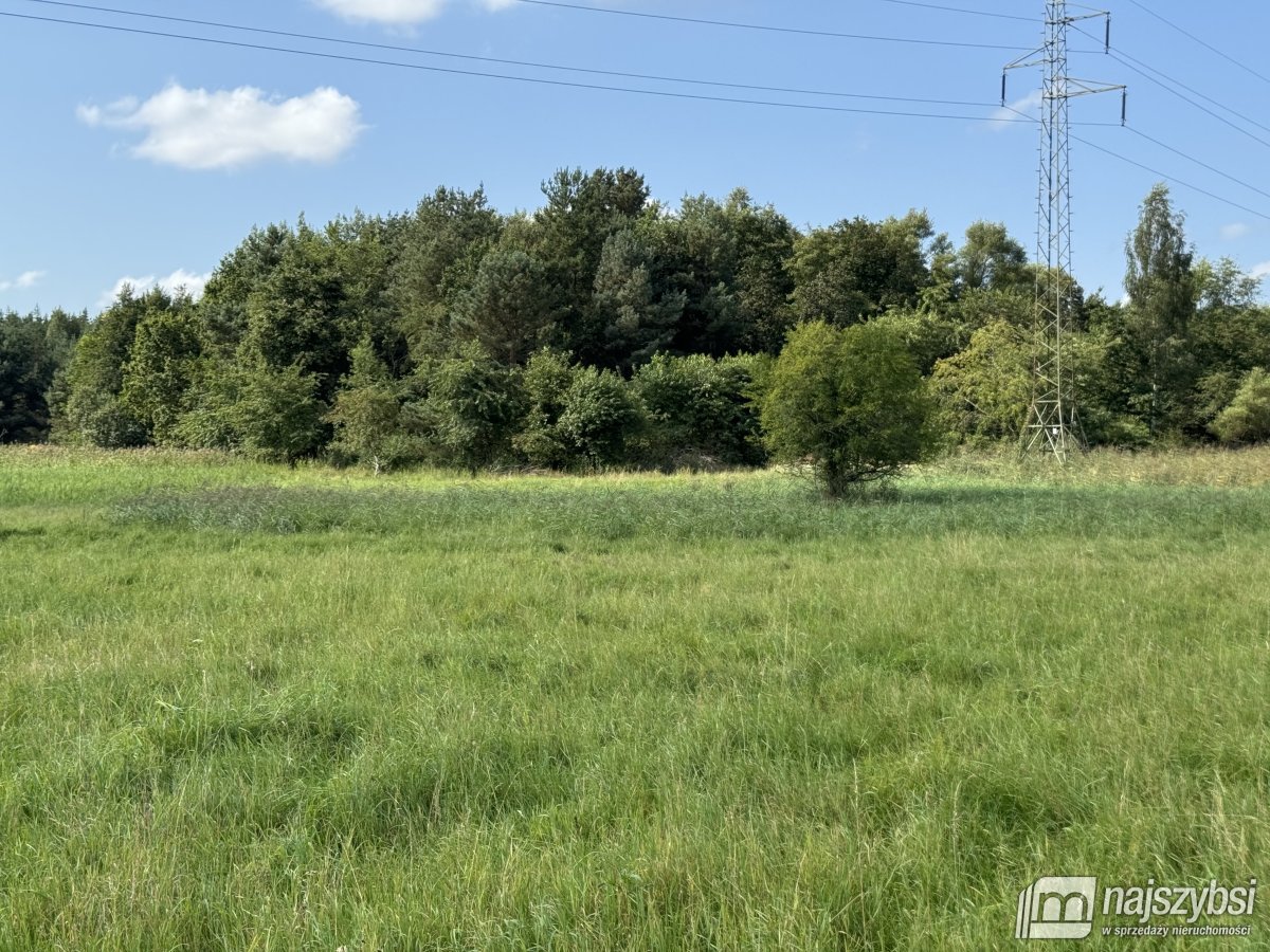 BIAŁOGARD-OGROMNA DZIAŁKA NA PRZEDMIEŚCIACH (5)