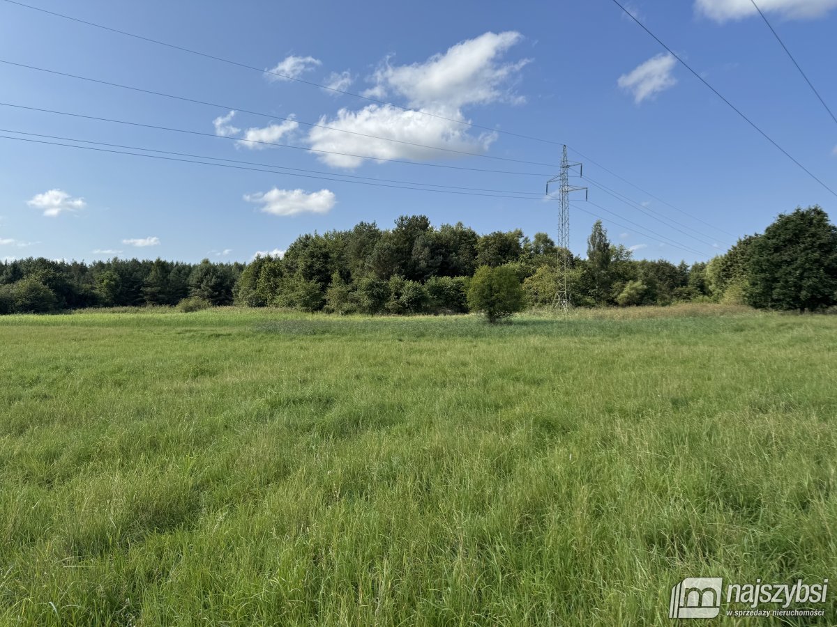 BIAŁOGARD-OGROMNA DZIAŁKA NA PRZEDMIEŚCIACH (6)