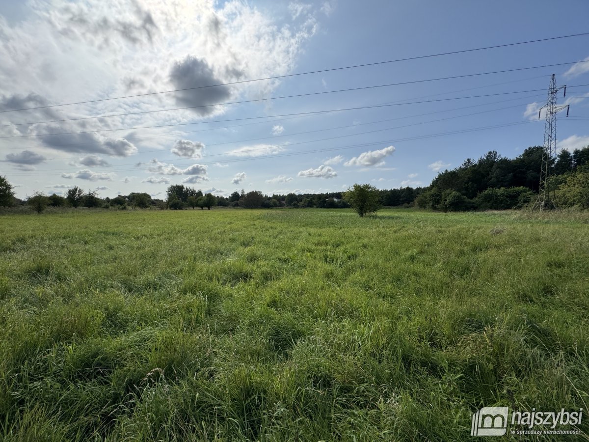 BIAŁOGARD-OGROMNA DZIAŁKA NA PRZEDMIEŚCIACH (8)