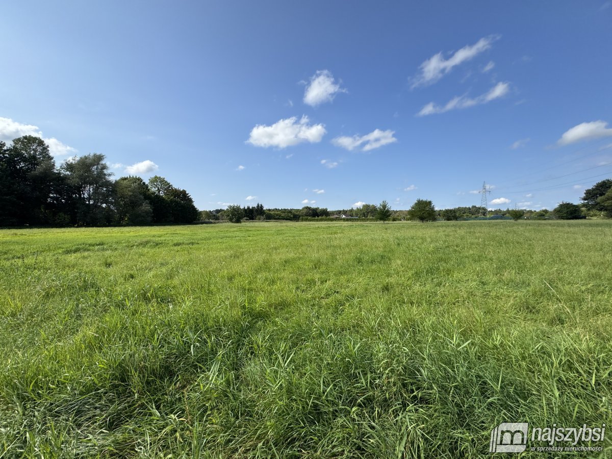 BIAŁOGARD-OGROMNA DZIAŁKA POD MIASTEM  (11)