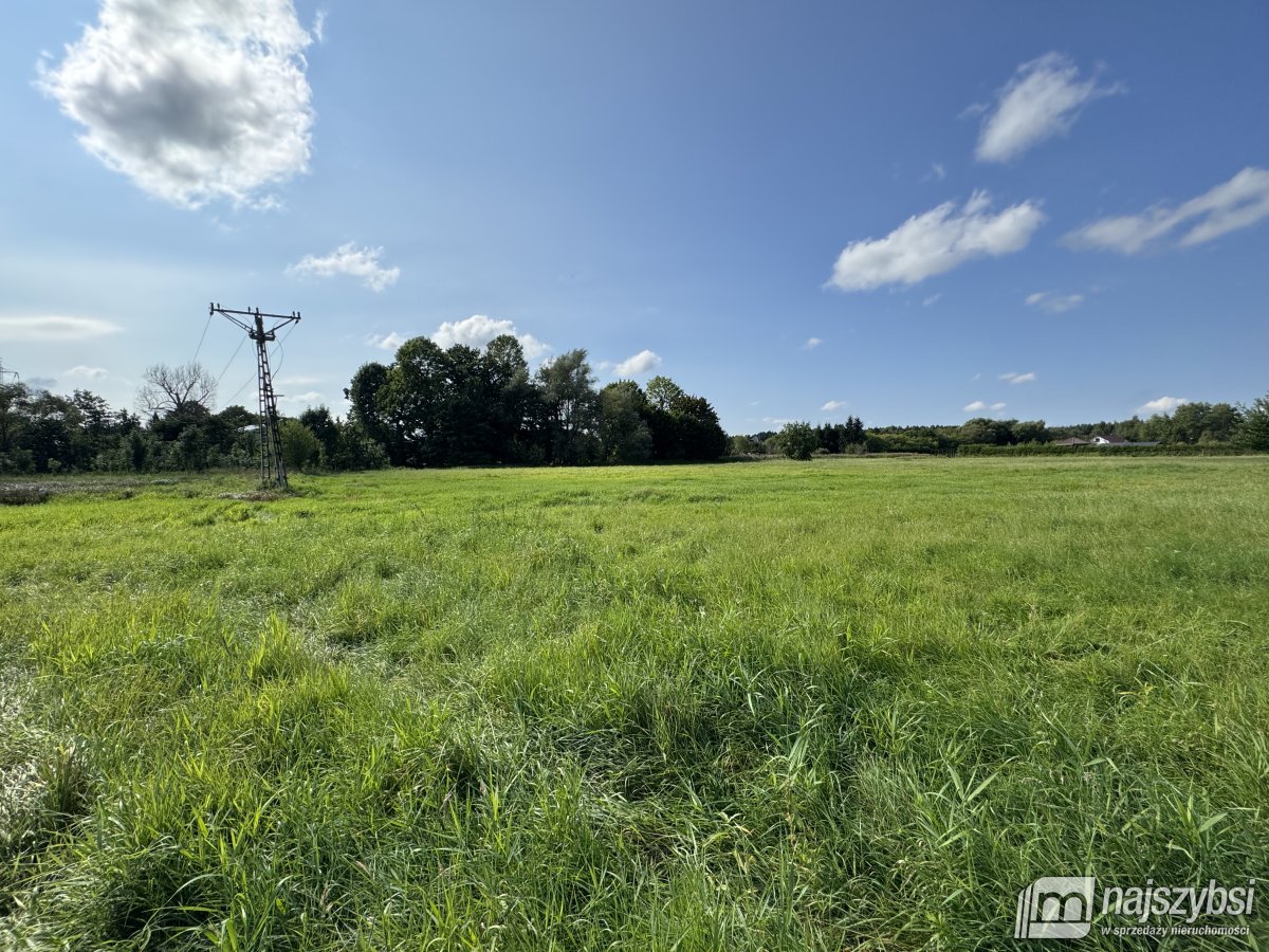 BIAŁOGARD-OGROMNA DZIAŁKA POD MIASTEM  (12)