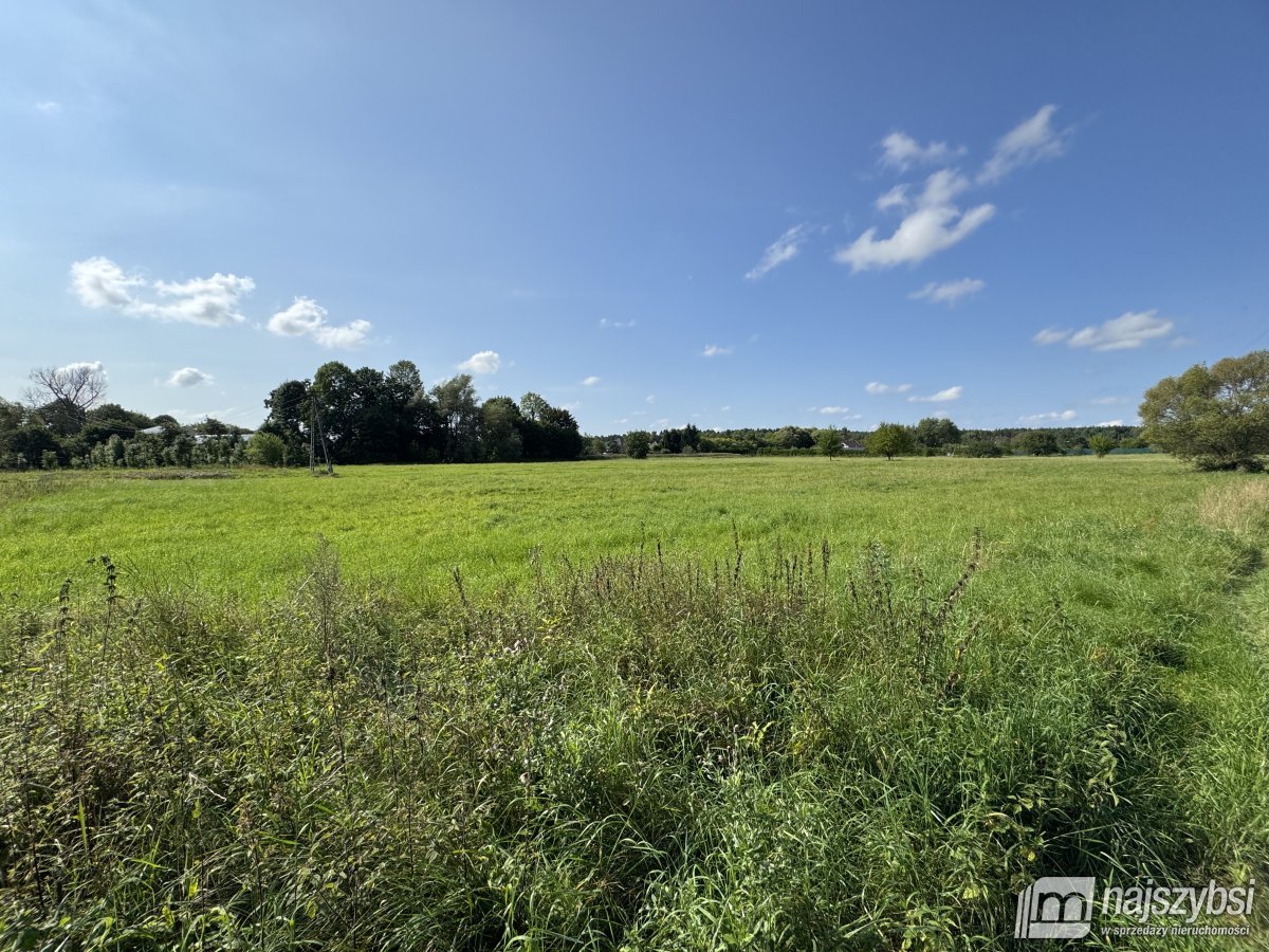 BIAŁOGARD-OGROMNA DZIAŁKA POD MIASTEM  (2)
