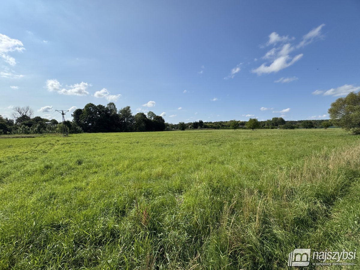 BIAŁOGARD-OGROMNA DZIAŁKA POD MIASTEM  (4)