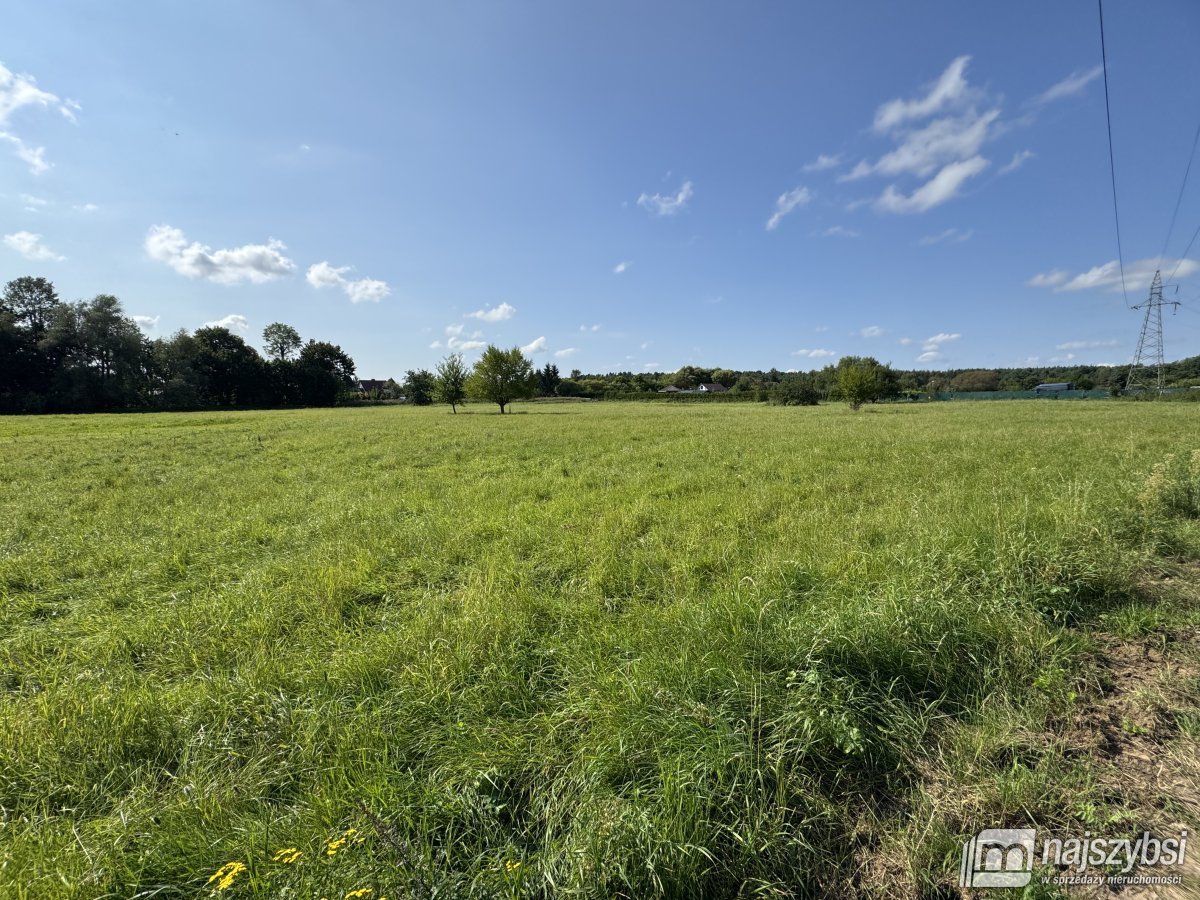 BIAŁOGARD-OGROMNA DZIAŁKA POD MIASTEM  (5)