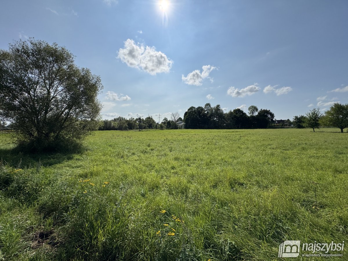 BIAŁOGARD-OGROMNA DZIAŁKA POD MIASTEM  (6)