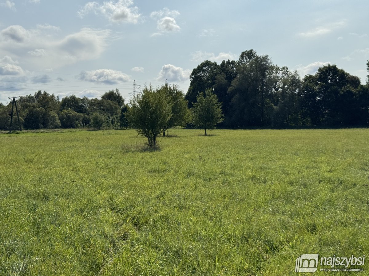 BIAŁOGARD-OGROMNA DZIAŁKA POD MIASTEM  (9)