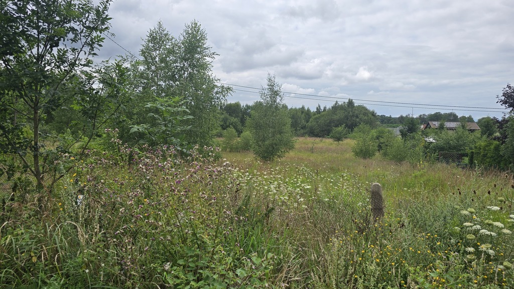 Działka dla DEWELOPERA pod 10 domów jednorodzinnyc (2)