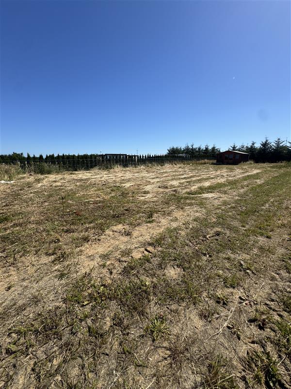 Działka - Śmiechów Śmiechów (5)