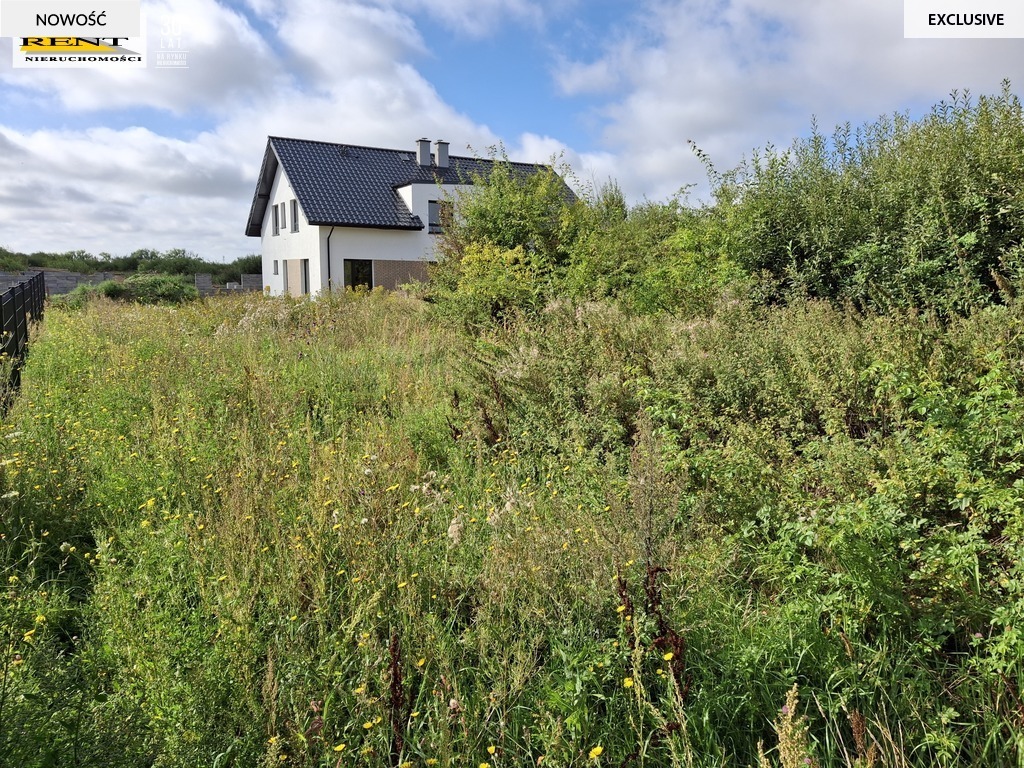 Działa, Teren na Mierzynie (2)