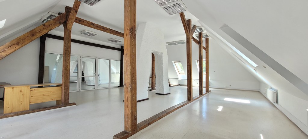 Klimatyczny lokal biurowo-usługowy w biurowcu (1)