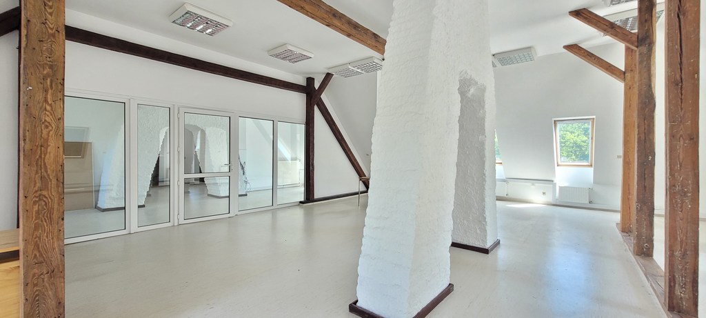 Klimatyczny lokal biurowo-usługowy w biurowcu (2)