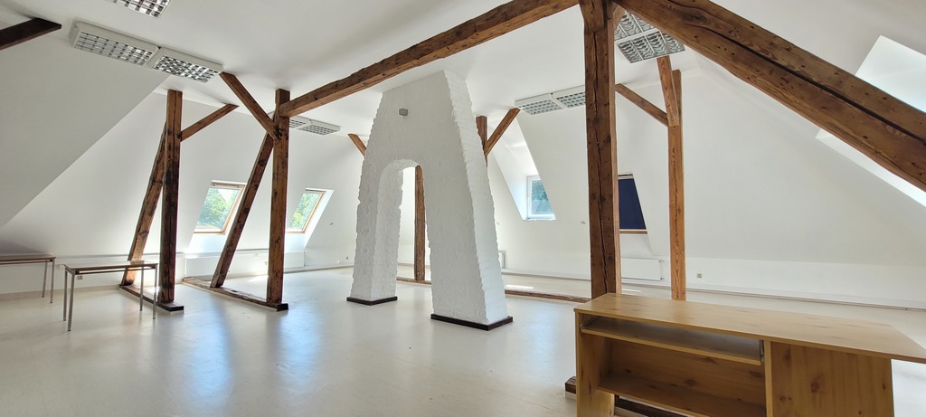 Klimatyczny lokal biurowo-usługowy w biurowcu (4)