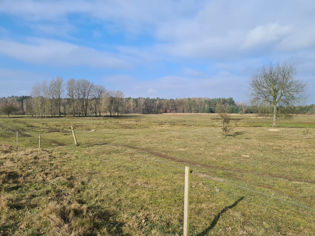 Działka budowlana w Tanowie (2)