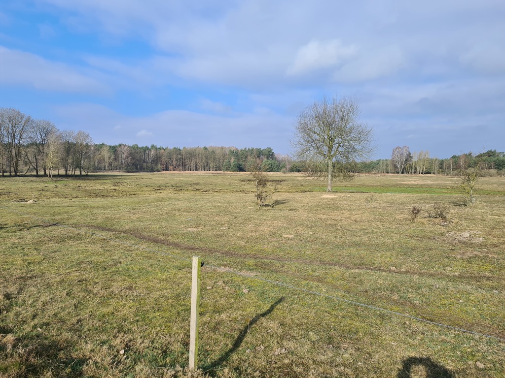 Działka budowlana w Tanowie (1)