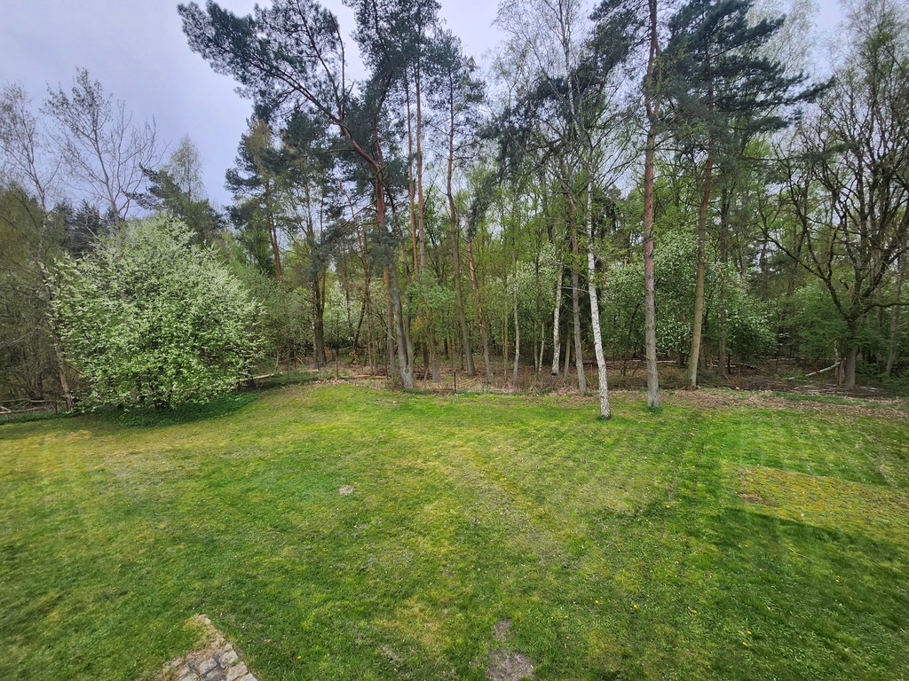 Dom w na dużej działce w Tanowie (13)