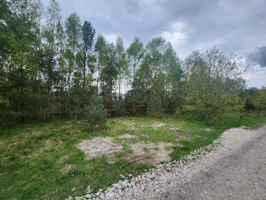 Działki w Tanowie (3)