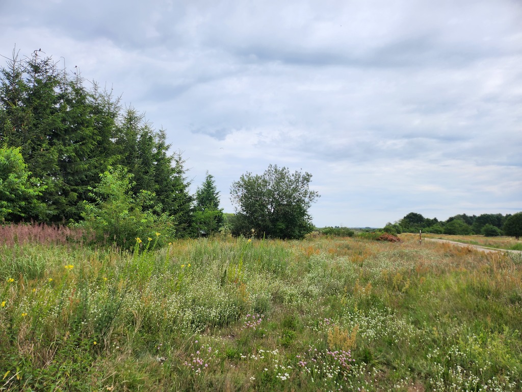 Działka blisko Polic (1)