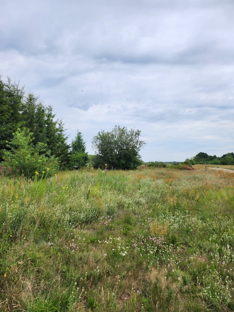 Działka blisko Polic (2)