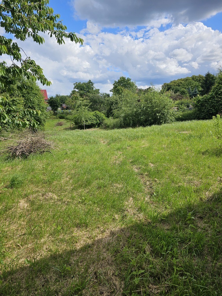 Dom parterowy na dużej działce- Przęsocin (8)