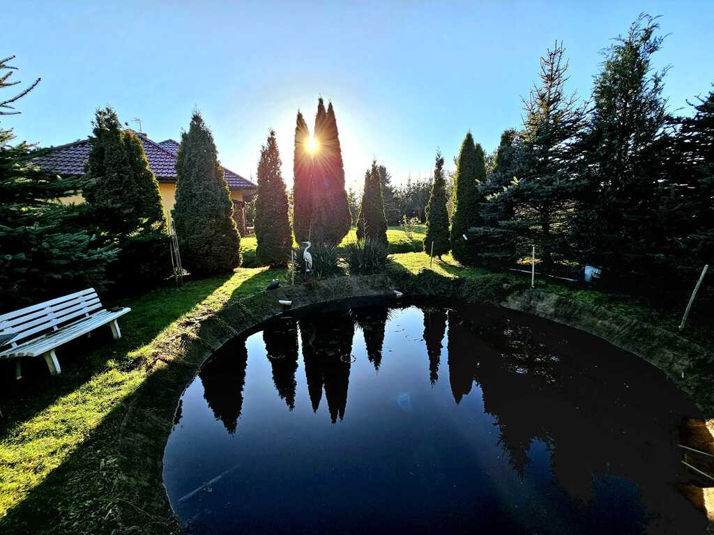 Dom pod samym lasem w Dobrej na dużej działce! (6)