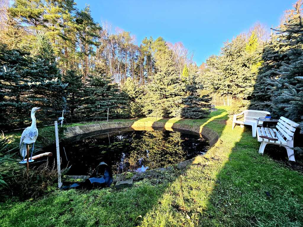 Dom pod samym lasem w Dobrej na dużej działce! (7)