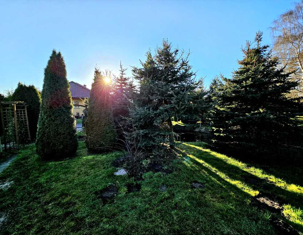 Dom pod samym lasem w Dobrej na dużej działce! (8)