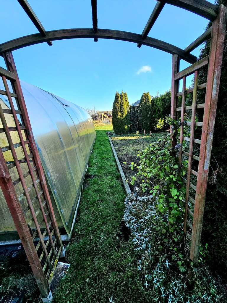 Dom pod samym lasem w Dobrej na dużej działce! (9)