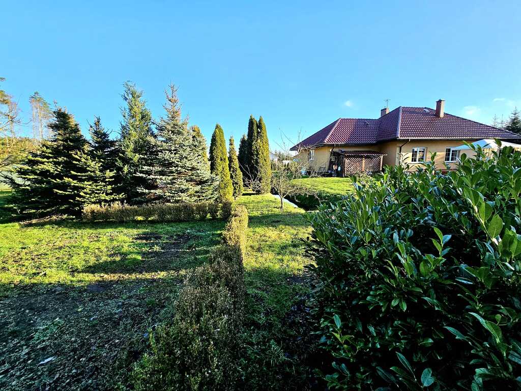 Dom pod samym lasem w Dobrej na dużej działce! (10)