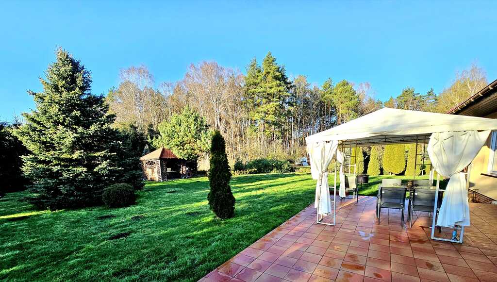 Dom pod samym lasem w Dobrej na dużej działce! (5)